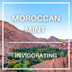 Moroccan Mint Black Tea